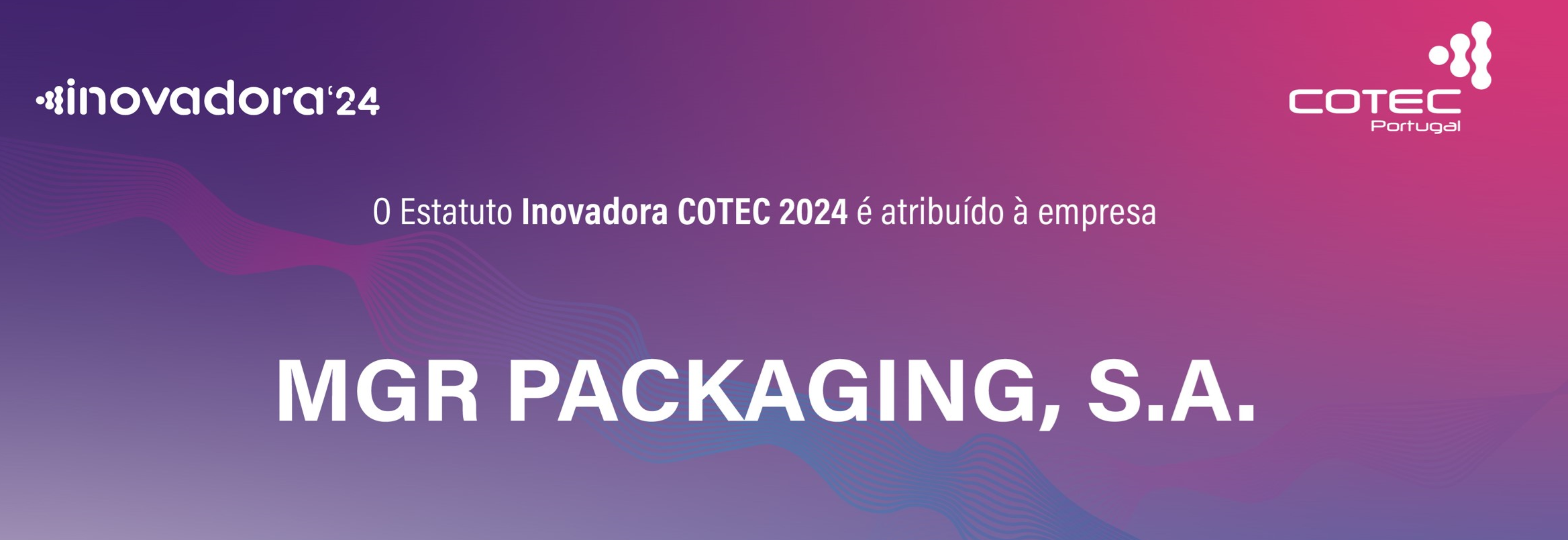 Estatuto Inovadora COTEC 2024 – Elevados padrões de inovação, solidez financeira e desempenho económico